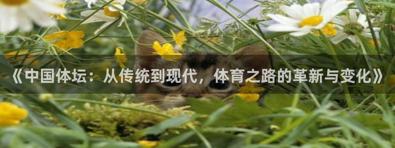 球王会体育：《中国体坛：从传统到现代，体育之路的革新与变化》
